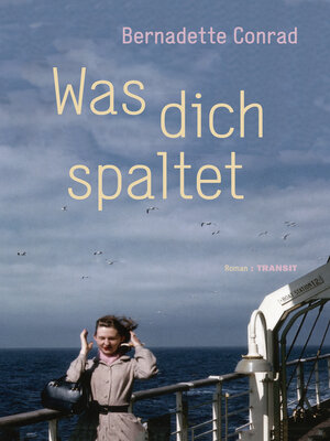 cover image of Was dich spaltet